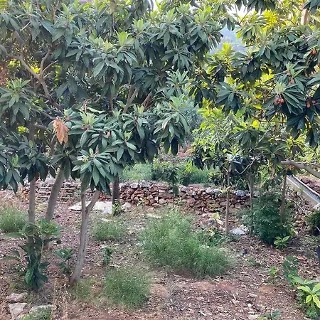 Deniz Manzarali,Terasli,Doga Icinde Muestakilsi Ev Lejlighed Alanya