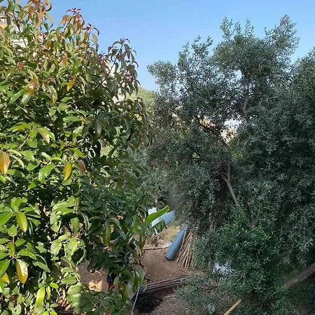 Deniz Manzarali,Terasli,Doga Icinde Muestakilsi Ev Apartament Alanya