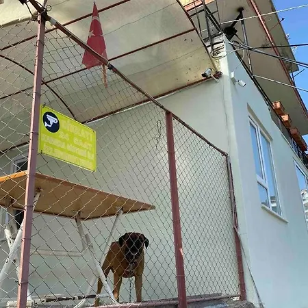 Apartman Deniz Manzarali,Terasli,Doga Icinde Muestakilsi Ev